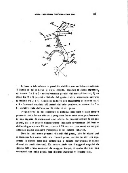 Il cervello Giornale di nevrologia