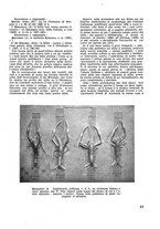 giornale/CFI0350116/1933/unico/00000029