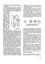 giornale/CFI0350116/1933/unico/00000031