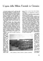 giornale/CFI0350116/1933/unico/00000039