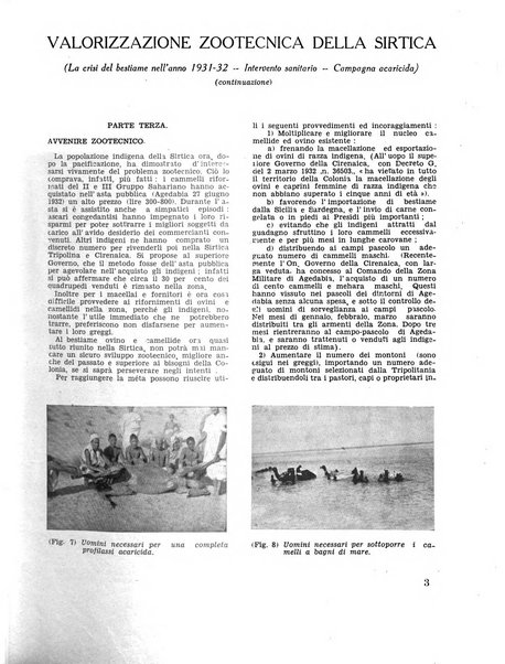 Cirenaica illustrata Rivista mensile d'espansione coloniale