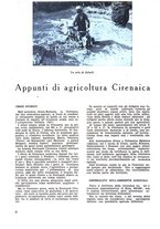 giornale/CFI0350116/1933/unico/00000074