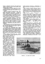giornale/CFI0350116/1933/unico/00000117