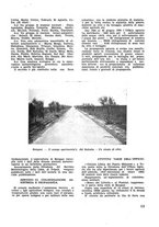 giornale/CFI0350116/1933/unico/00000177