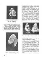 giornale/CFI0350116/1933/unico/00000316