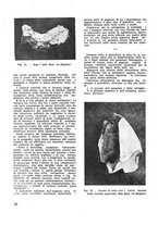 giornale/CFI0350116/1933/unico/00000318
