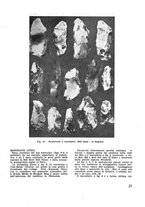 giornale/CFI0350116/1933/unico/00000319