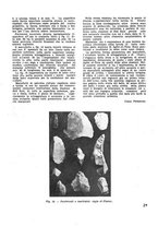 giornale/CFI0350116/1933/unico/00000321