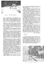 giornale/CFI0350116/1933/unico/00000369