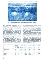 giornale/CFI0350116/1933/unico/00000420