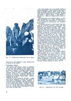 giornale/CFI0350116/1933/unico/00000462