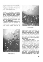 giornale/CFI0350116/1933/unico/00000607