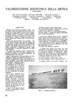 giornale/CFI0350116/1933/unico/00000610