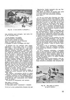giornale/CFI0350116/1933/unico/00000611