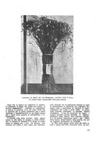 giornale/CFI0350116/1933/unico/00000999