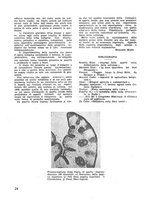 giornale/CFI0350116/1933/unico/00001004
