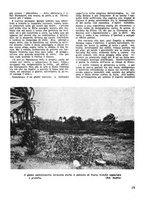 giornale/CFI0350116/1934/unico/00000025