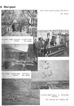 giornale/CFI0350116/1934/unico/00000143