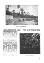 giornale/CFI0350116/1934/unico/00000171