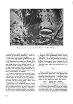 giornale/CFI0350116/1934/unico/00000362