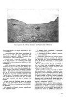 giornale/CFI0350116/1934/unico/00000369