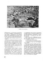 giornale/CFI0350116/1934/unico/00000370