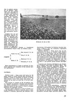 giornale/CFI0350116/1934/unico/00000669