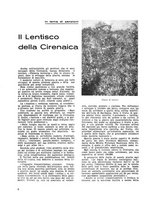 giornale/CFI0350116/1935/unico/00000422