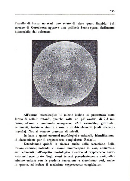 Il Consorzio antitubercolare Rivista mensile scientifico sociale di tisiologia