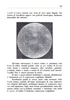 giornale/CFI0350754/1936/unico/00000877