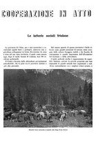 giornale/CFI0350904/1932/unico/00000029