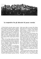 giornale/CFI0350904/1932/unico/00000261