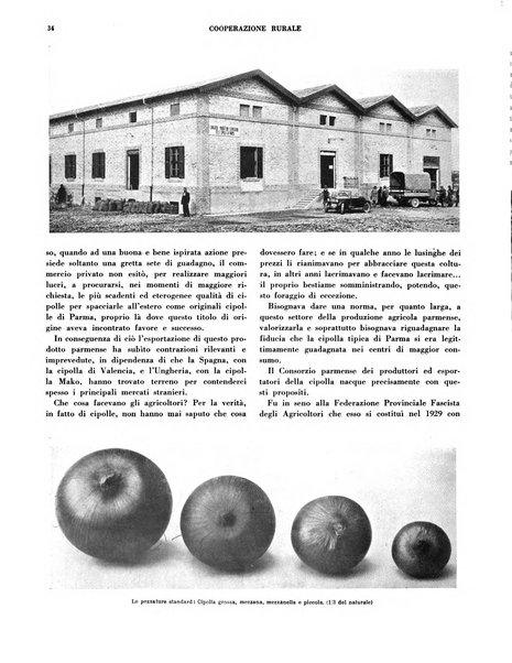 Cooperazione rurale rivista mensile