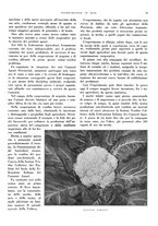 giornale/CFI0350904/1932/unico/00000317