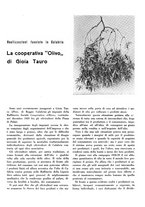 giornale/CFI0350904/1932/unico/00000319