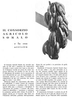 giornale/CFI0350904/1932/unico/00000437