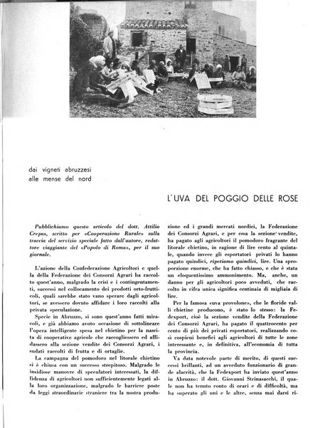 Cooperazione rurale rivista mensile