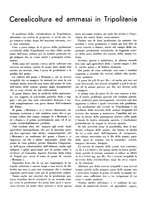 giornale/CFI0350904/1934/unico/00000036