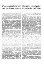 giornale/CFI0350904/1934/unico/00000079