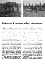 giornale/CFI0350904/1934/unico/00000099