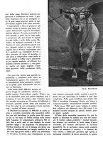 giornale/CFI0350904/1934/unico/00000101