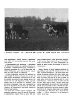 giornale/CFI0350904/1934/unico/00000102