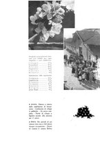 giornale/CFI0350904/1934/unico/00000111
