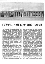 giornale/CFI0350904/1934/unico/00000168