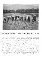 giornale/CFI0350904/1934/unico/00000295