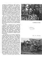 giornale/CFI0350904/1934/unico/00000299