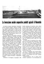 giornale/CFI0350904/1934/unico/00000307