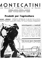 giornale/CFI0350904/1934/unico/00000343