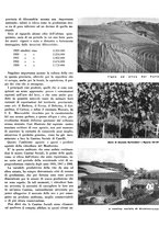 giornale/CFI0350904/1934/unico/00000383