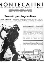 giornale/CFI0350904/1934/unico/00000403